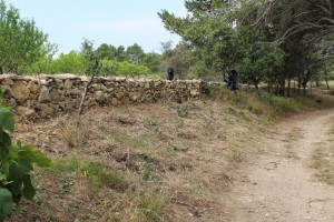 3-IMG_11111