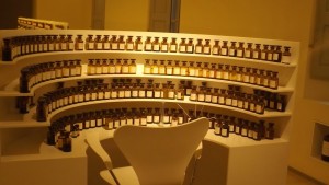 DSCF16491