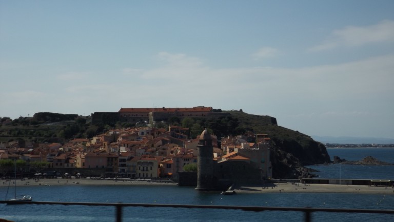 DSCF9531
