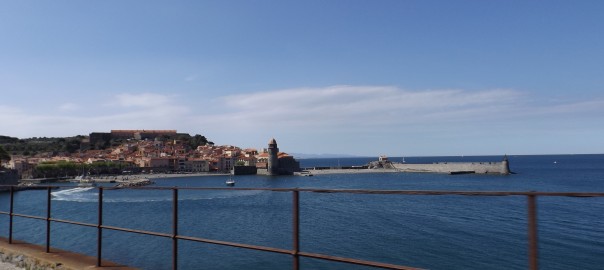 DSCF9533